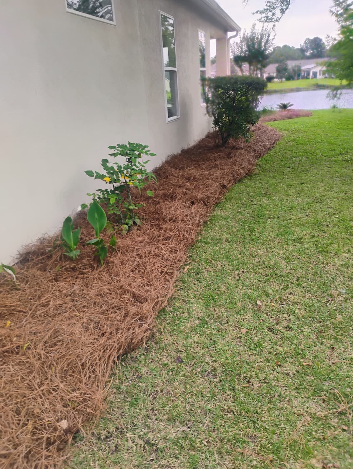 Yard cleanup and outdoor maintenance